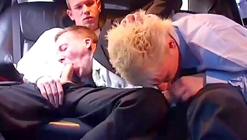 Limousine Three-some Raw