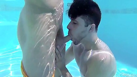 Ray Han And Ryan Rose (cd1 )